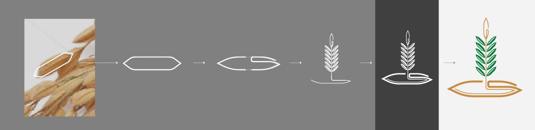 proceso creativo logo
