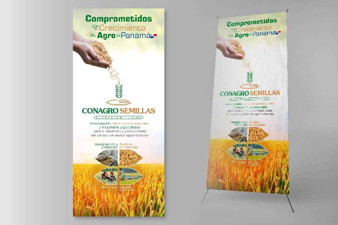 1 Base paginas 1080