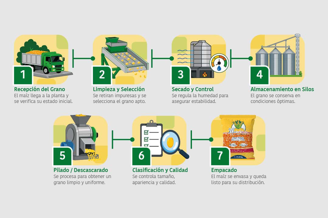 Infografia aadasa