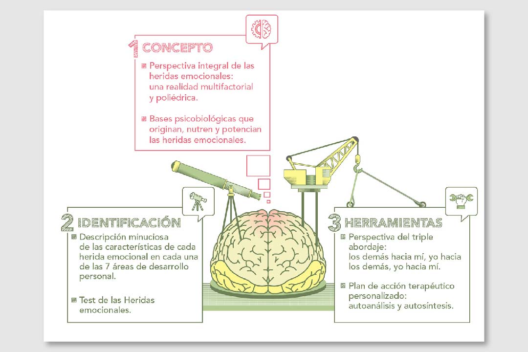 Infografia arquitectura emocional cerebro